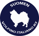 Logo_neliö5